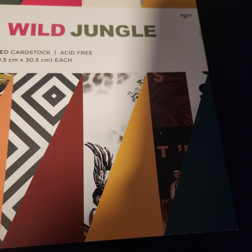 Park Lane Wild Jungle 12"x12" 24 sheets printed cardstock Scrapbooking Crafts - Picture 7 of 7
